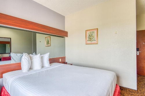 Trident Inn and Suites image 9